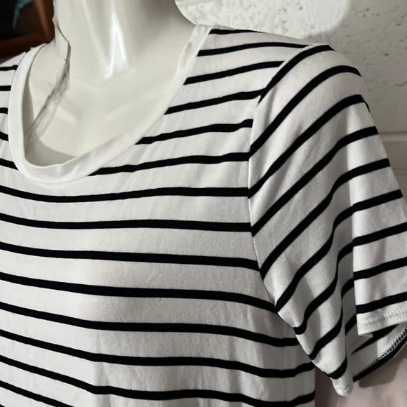 Daily Ritual - Picture 3 of 5